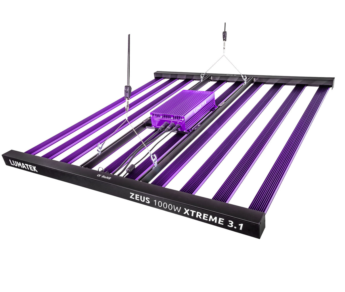Zeus 1000W Xtreme 3.1