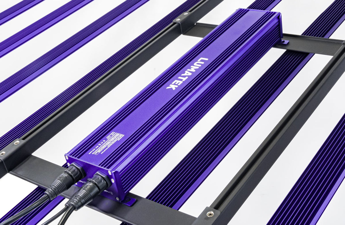 Zeus 1000W PRO EVO 3.1