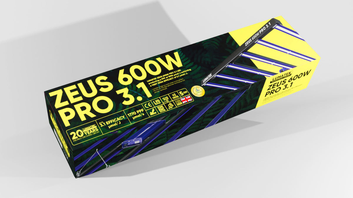 Zeus 600W PRO 3.1