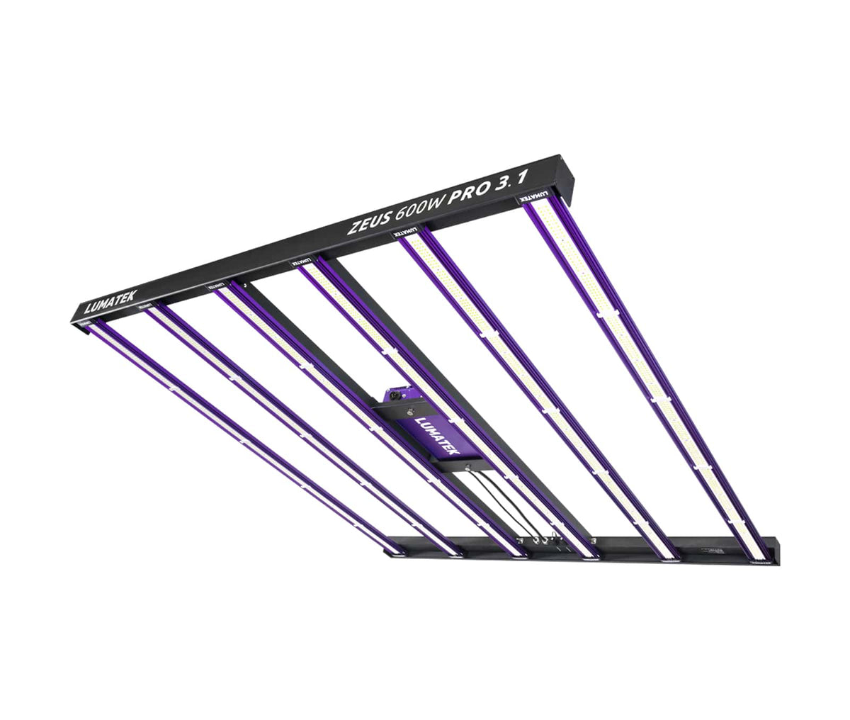 Zeus 600W PRO 3.1