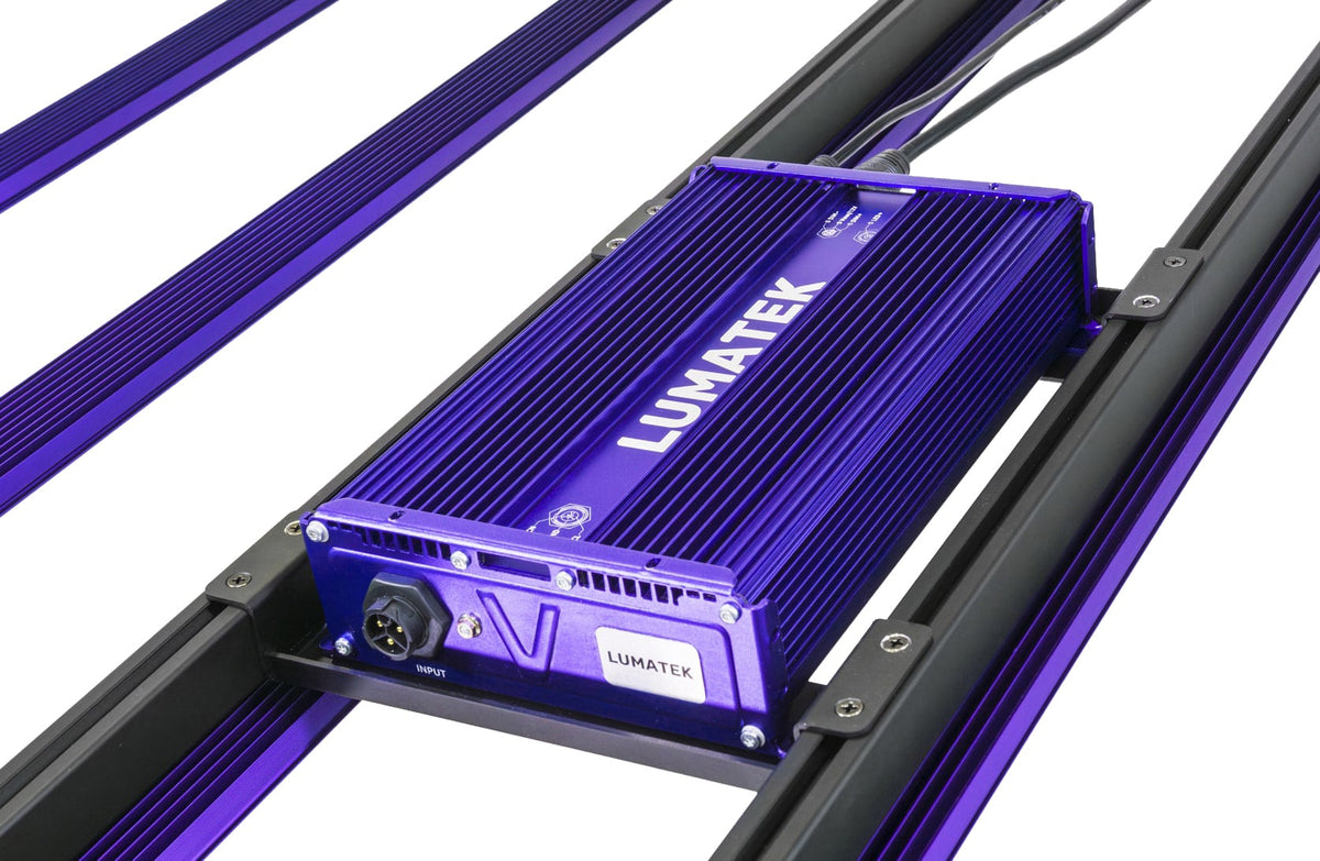 Zeus 600W PRO 3.1