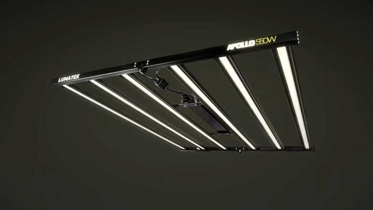 Apollo 550W